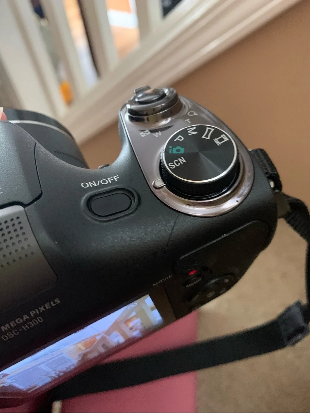 Sony Black Compact Digital Camera with Lens Cap